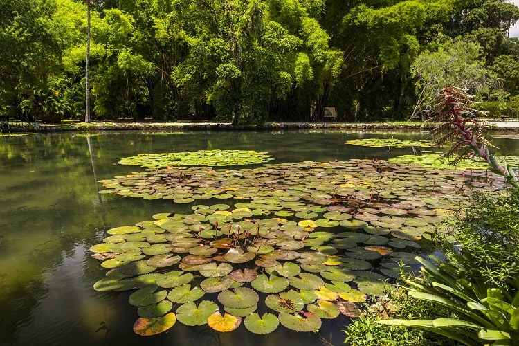 botanik bahçeleri-atatürk-arboretumu