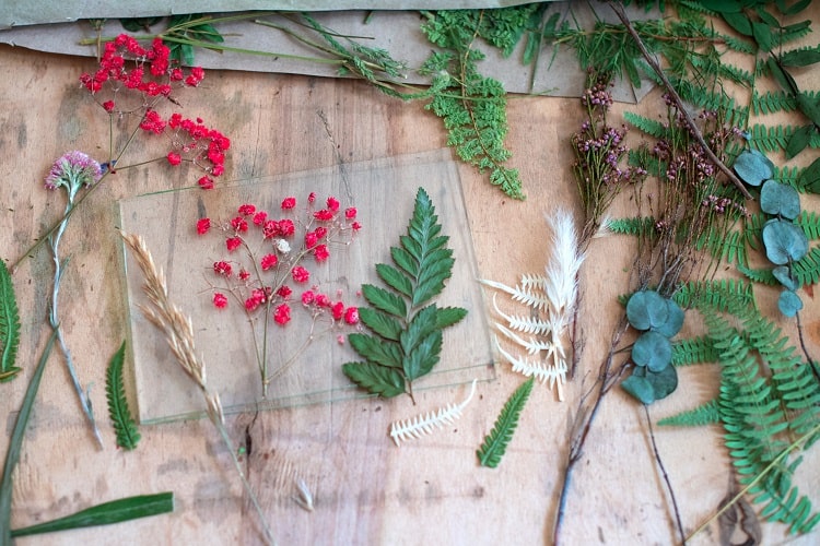 herbarium-botanik-bahcesi-turkiye